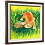 Seeing Eye to Eye - Jack & Jill-Rae Owings-Framed Giclee Print