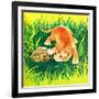 Seeing Eye to Eye - Jack & Jill-Rae Owings-Framed Giclee Print