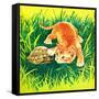 Seeing Eye to Eye - Jack & Jill-Rae Owings-Framed Stretched Canvas