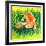 Seeing Eye to Eye - Jack & Jill-Rae Owings-Framed Giclee Print