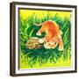 Seeing Eye to Eye - Jack & Jill-Rae Owings-Framed Giclee Print