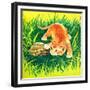 Seeing Eye to Eye - Jack & Jill-Rae Owings-Framed Giclee Print