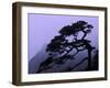 Seeing Off Pine Tree on Mt. Huangshan (Yellow Mountain), China-Keren Su-Framed Photographic Print