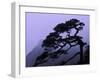Seeing Off Pine Tree on Mt. Huangshan (Yellow Mountain), China-Keren Su-Framed Photographic Print