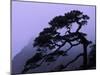 Seeing Off Pine Tree on Mt. Huangshan (Yellow Mountain), China-Keren Su-Mounted Photographic Print