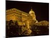 Seeing The Sites, Danube River, Budapest, Hungary-Joe Restuccia III-Mounted Photographic Print