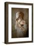 seeing through the mask-Olga Mest-Framed Photographic Print