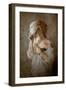 seeing through the mask-Olga Mest-Framed Premium Photographic Print