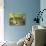 Seeking the New Home-Newell Convers Wyeth-Giclee Print displayed on a wall