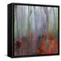 Seeking Up-Karen Suderman-Framed Stretched Canvas