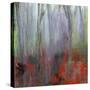 Seeking Up-Karen Suderman-Stretched Canvas