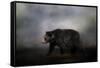 Seeking Water-Jai Johnson-Framed Stretched Canvas