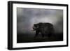 Seeking Water-Jai Johnson-Framed Giclee Print