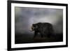 Seeking Water-Jai Johnson-Framed Giclee Print