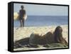 Seen from Her Back, Young Woman Lying on Beach Wearing Bikini Viewing Ocean-Co Rentmeester-Framed Stretched Canvas