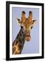 Seen Me-Staffan Widstrand-Framed Giclee Print