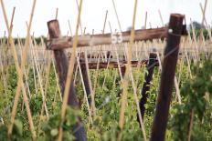 Agriculture in Zeeland, the Netherlands-Seepia Fotografie-Photographic Print