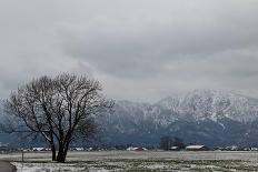 Typical pre-alpine scenery close Murnau in winter, Bavaria, Germany-Seepia Fotografie-Photographic Print