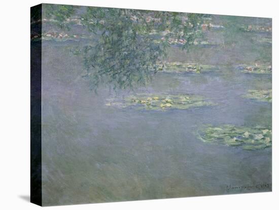 Seerosen, 1903-Claude Monet-Stretched Canvas