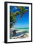 Seesaw on Palm-pashapixel-Framed Photographic Print