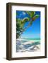 Seesaw on Palm-pashapixel-Framed Photographic Print