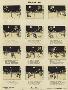 Just the Print