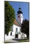 Seewalchen Am Attersee, Attersee, Oberosterreich (Upper Austria), Austria, Europe-Doug Pearson-Mounted Photographic Print