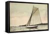 Segelboot in Seitenneigung, Wind, Wolken, Muecke-null-Framed Stretched Canvas