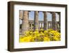 Segesta, the Temple-Guido Cozzi-Framed Photographic Print