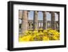 Segesta, the Temple-Guido Cozzi-Framed Photographic Print