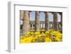 Segesta, the Temple-Guido Cozzi-Framed Photographic Print