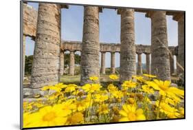 Segesta, the Temple-Guido Cozzi-Mounted Photographic Print