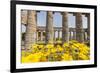 Segesta, the Temple-Guido Cozzi-Framed Photographic Print