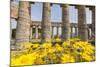 Segesta, the Temple-Guido Cozzi-Mounted Photographic Print