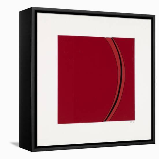 Segment-Alex Dunn-Framed Stretched Canvas