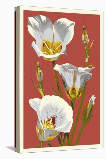 Sego Lily - Letterpress-Lantern Press-Stretched Canvas