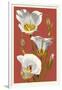 Sego Lily - Letterpress-Lantern Press-Framed Art Print