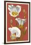 Sego Lily - Letterpress-Lantern Press-Framed Art Print