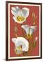 Sego Lily - Letterpress-Lantern Press-Framed Art Print