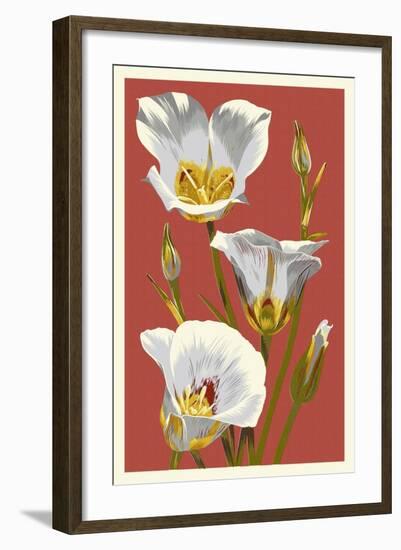 Sego Lily - Letterpress-Lantern Press-Framed Art Print