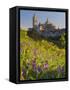 Segovia, Castilla Y Leon, Spain-Peter Adams-Framed Stretched Canvas