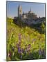 Segovia, Castilla Y Leon, Spain-Peter Adams-Mounted Photographic Print