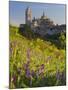 Segovia, Castilla Y Leon, Spain-Peter Adams-Mounted Photographic Print