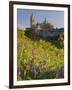 Segovia, Castilla Y Leon, Spain-Peter Adams-Framed Photographic Print