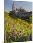 Segovia, Castilla Y Leon, Spain-Peter Adams-Mounted Photographic Print