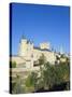 Segovia Castle and Gothic Style Segovia Cathedral Built in 1577, Segovia, Madrid, Spain, Europe-Christian Kober-Stretched Canvas