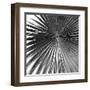 Segovia Noir - Focus-Ben Wood-Framed Giclee Print