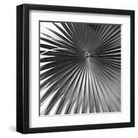 Segovia Noir - Focus-Ben Wood-Framed Giclee Print