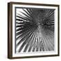 Segovia Noir - Focus-Ben Wood-Framed Giclee Print