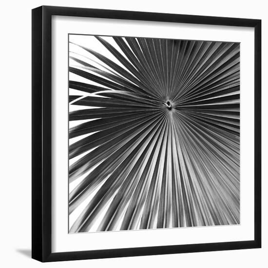 Segovia Noir - Focus-Ben Wood-Framed Giclee Print
